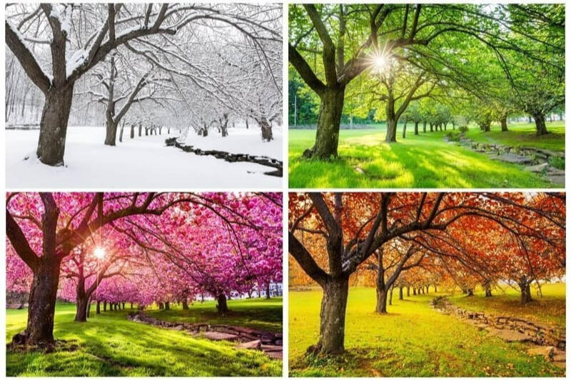Photo from: https://www.practiceportuguese.com/learning-notes/seasons-of-the-year/